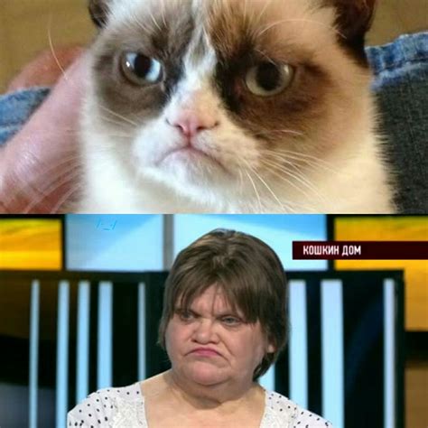 Finally The Real Owner Of Grumpy Cat Has Been Found Rfunny