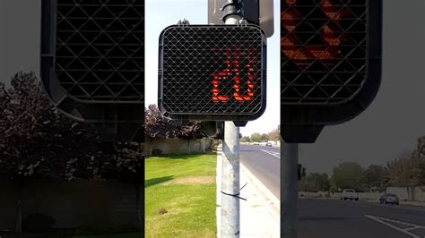 Mccain Pedestrian Signal With Countdown Timer Youtube