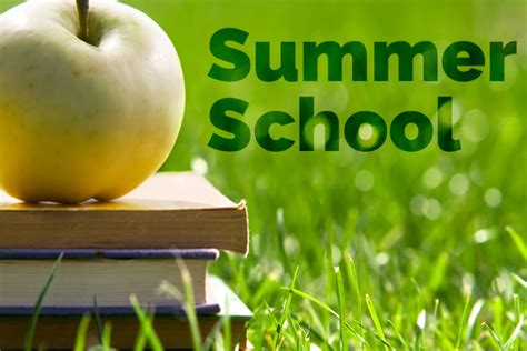 2020 Online Summer School Courses