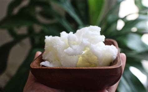 What Are The Benefits Of Using Shea Butter Signa Scents ️