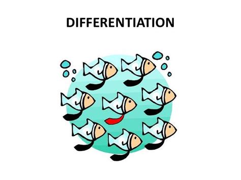 Differentiation In The Classroom