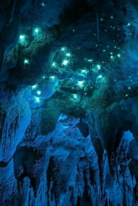 Very Beautiful Glow Worm Cave Places To Travel Places To Visit New