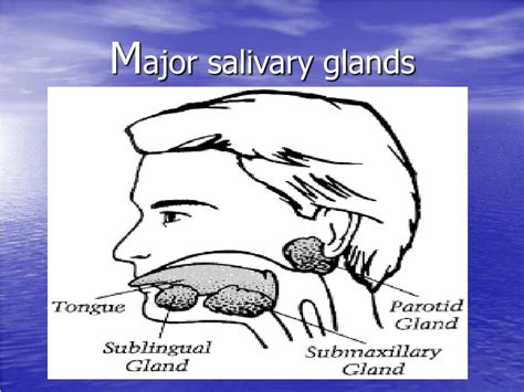 Ppt S Alivary Gland Diseases Powerpoint Presentation Free Download