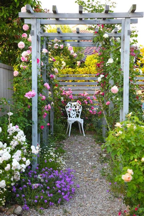 カメラマンが訪ねた感動の花の庭。芝とハーブとバラがコラボする庭 愛知・寺田邸 庭 美しい庭 素敵な庭