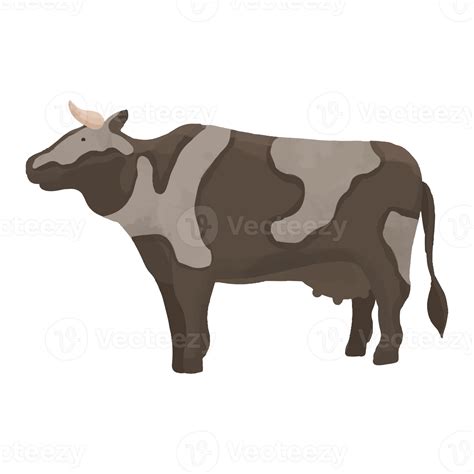 Watercolor Cow Hand Painted Farm Clipart 8519747 Png