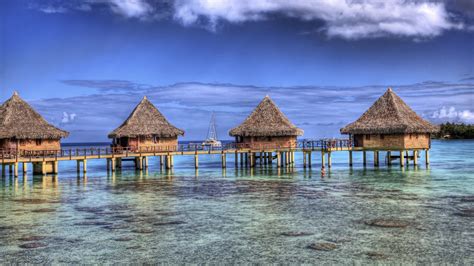 Nature Landscape Resort French Polynesia Bungalow Sea