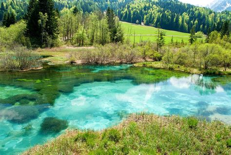 Zelenci Nature Reserve Podkoren Slovenia With Map And Photos