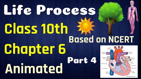 Life Process Class Science Biology Animated Video Science Class Chapter Part