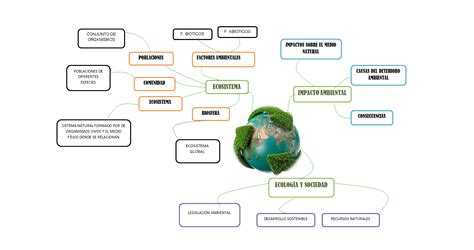 Mapa Mental De Los Ecosistemas Tados