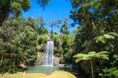 Waterfalls Of Atherton Tablelands Queensland Australia