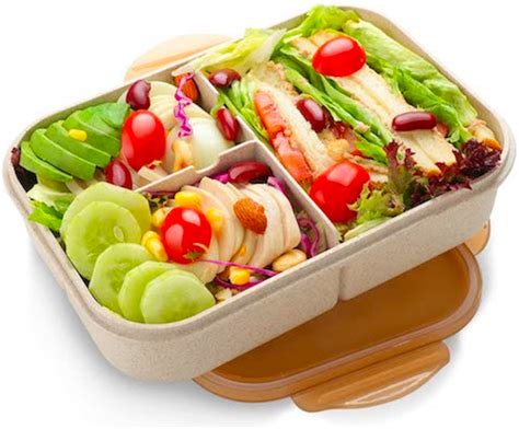 9 Best Bento Boxes For Adults In 2020 Spy