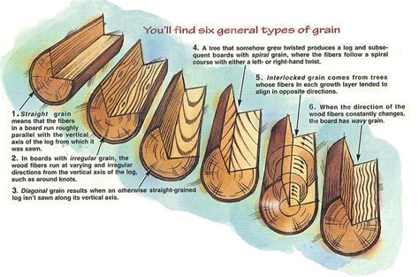 Understanding Wood Grain Wood