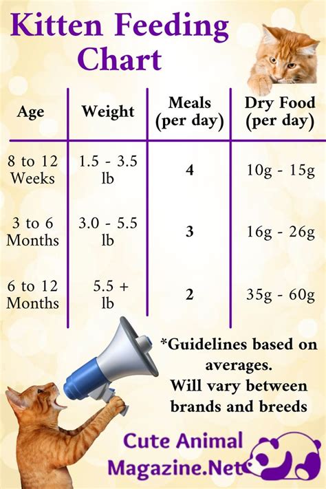 Cat Feeding Chart By Age And Weight