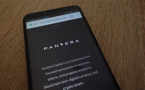 Pantera Capital Already Raises Over 70 Million For Its Third Crypto