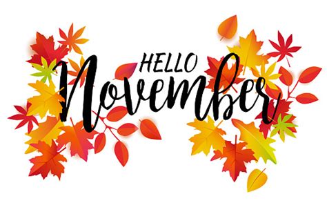Hello November Vector Stock Illustration Download Image Now