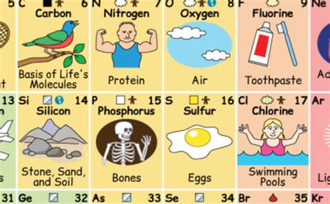 This Periodic Table Shows What Elements Are In Regards To Everyday Life