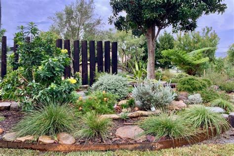 Australian Garden Design Australian Native Garden Simple Front Garden