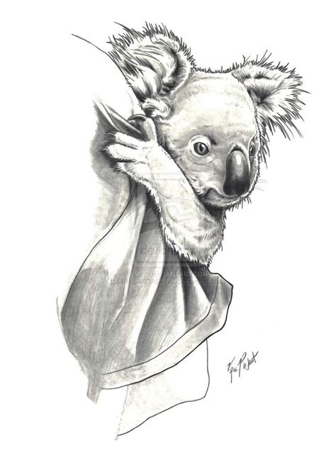 Koala By Freakcastle On Deviantart Koala Drawing Animal Sketches