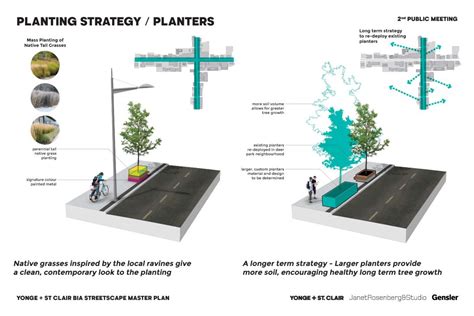 Streetscape Master Plan Concept Presentation Yonge St Clair