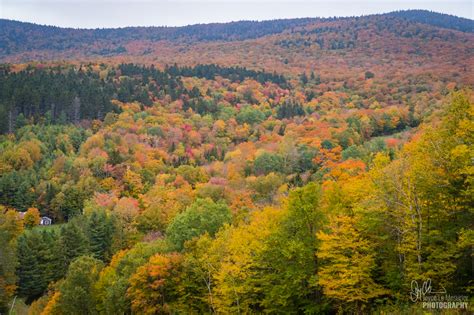 Autumn In Vermont Usa Fotojoys
