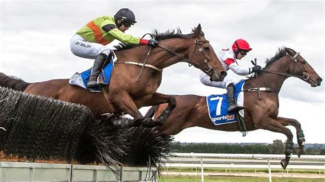 Racing Victoria Push To Amend Age Rule To Allow Veteran Jumper Bashboy