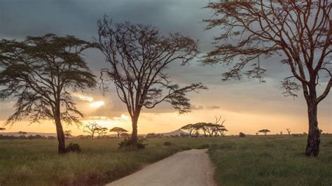 Travel Deals Serengeti Tour 20 Per Cent Off G Adventures Small Group