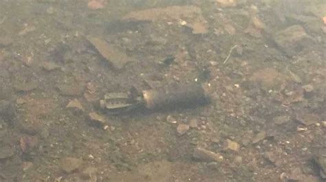 Unexploded Ww2 Mortar Discovered In Somerset Pond Bbc News