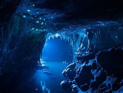 Waitomo Glowworm Caves Waitomo New Zealand Afar