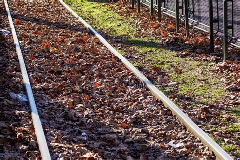 Railroad Tracks Cut Through Autumn Woods In Blue Ridge Georgia Stock