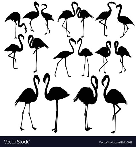 Flamingo Silhouette Royalty Free Vector Image Vectorstock