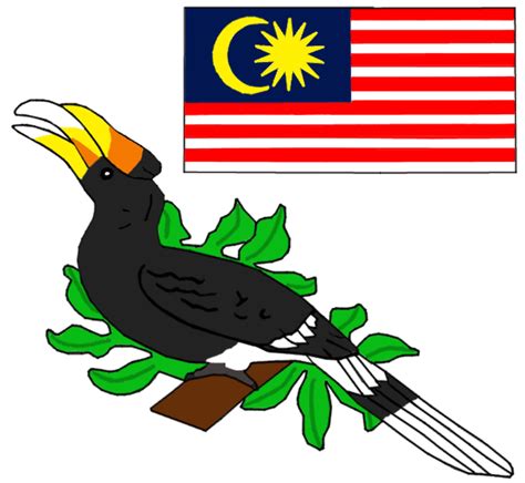 Malaysia Rhinoceros Hornbill By Roan5 On Deviantart
