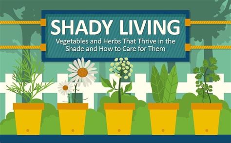 Vegetables And Herbs That Thrive In The Shade And How To Care For Them