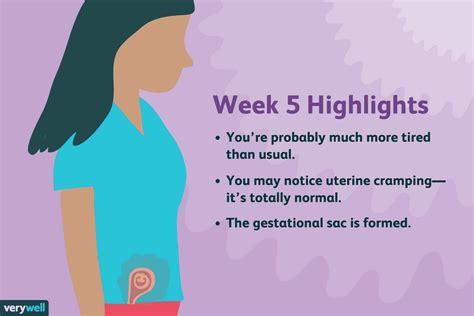 5 Weeks Pregnant Symptoms Baby Development And More