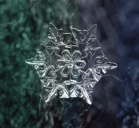 Unique And Beautiful Snowflakes 49 Pics 結晶 スノーフレーク 雪