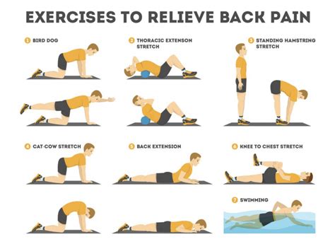 Lower Back Pain Here Are Few Exercises That Can Help Kay Spears