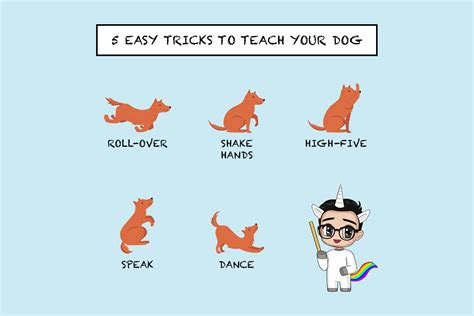 Easy Tricks To Teach Your Dog Peoples Inc