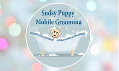 Professional Pet Care At Your Doorstep Groomers Within 5 Miles