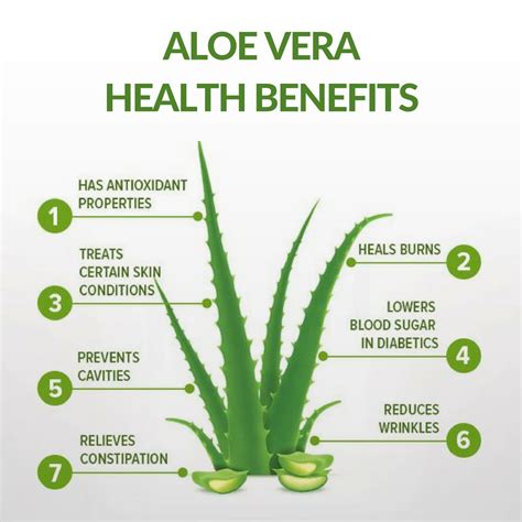Aloe Vera Health Benefits Aloe Vera Benefits Aloe Vera Health