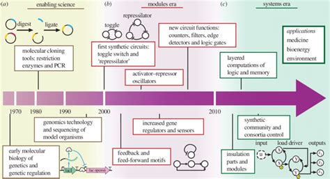 Condensed Timeline Of Synthetic Biology A The Development Of