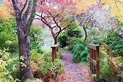 Visit This Beautiful Secret Garden In Oregon