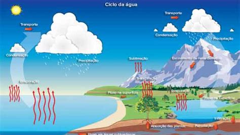 Tipos De Ciclos Biogeoquímicos