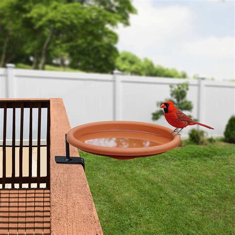 Best Heated Bird Bath 2022 Top Heated Waterer For Birds Reviews