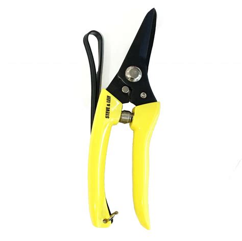 How To Clean And Care For Garden Pruners And Secateurs Yaju Pruning