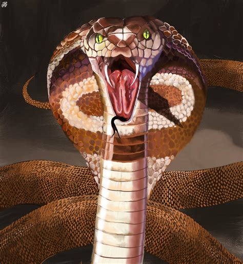 king cobra by jigsaw2888 on deviantart