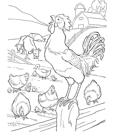 Farm Animals Coloring Pages Hens And Rooster Farm Animal Coloring