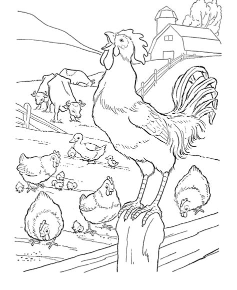 Free printable farm animals coloring pages for kids. farm animals coloring pages hens and rooster | Farm animal ...