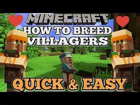 I was mentioning this video when i was making easy. Minecraft How To Breed Villagers Fast & Easy +Auto Breeder ...