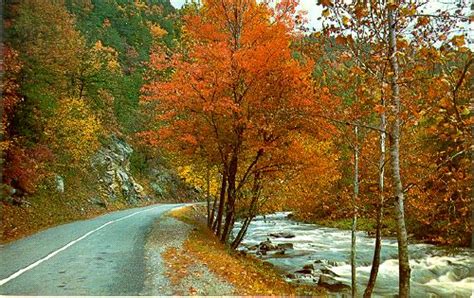 Great Smoky Mountains National Park Fall Colors And