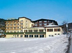 Hotel Harfenwirt, Niederau, Wildschönau