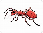 Fire Ant Drawing | Free download on ClipArtMag